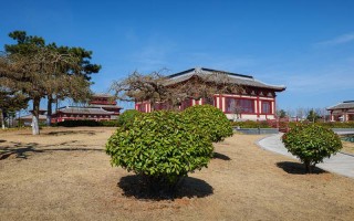 初二那年，我在成都海洋馆被一条魔鬼鱼瞪了半小时