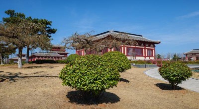 成都亲子两日游，48小时，带娃解锁巴适慢生活