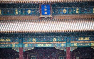 在成都自然博物馆，我找到了比网红打卡更*的旅行意义