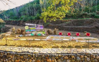 别只去省博了！这条成都文物迷私藏路线，藏着更地道的蜀地魂