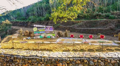 成都遛娃一日游，我找到了比江苏园林更上头的玩法！