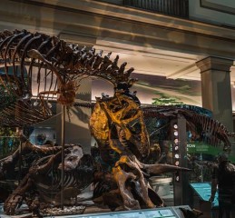 别只盯着九寨沟了！四川这12个红色小镇，藏着更硬核的旅行故事