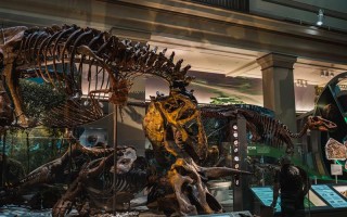 成都博物馆藏着个小埃及？这份另类攻略，让你在火锅味里穿越尼罗河！