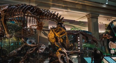 广元，不止剑门关！被遗忘的红色血脉与山水奇缘